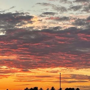 Meet your Posher, Patty